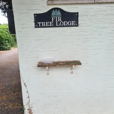 Privatunterkunft Twin Beds With Private Bathroom At Fir Tree Bristol