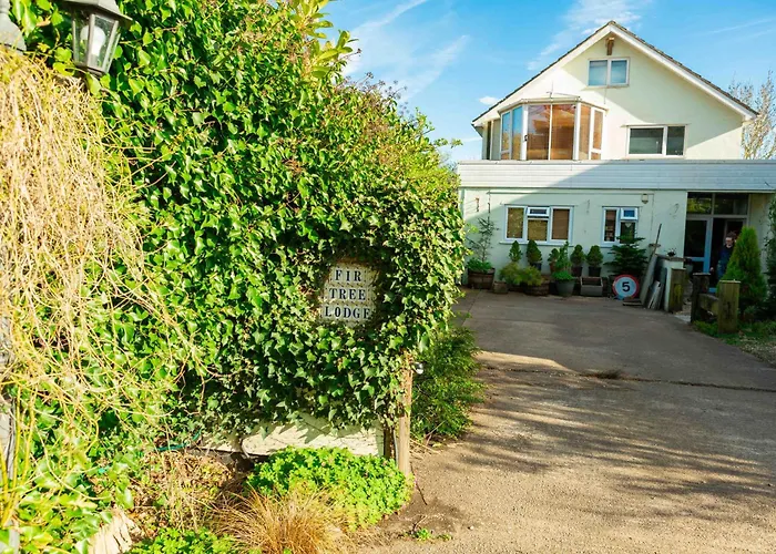 Accommodatie bij particulieren Twin Beds With Private Bathroom At Fir Tree *