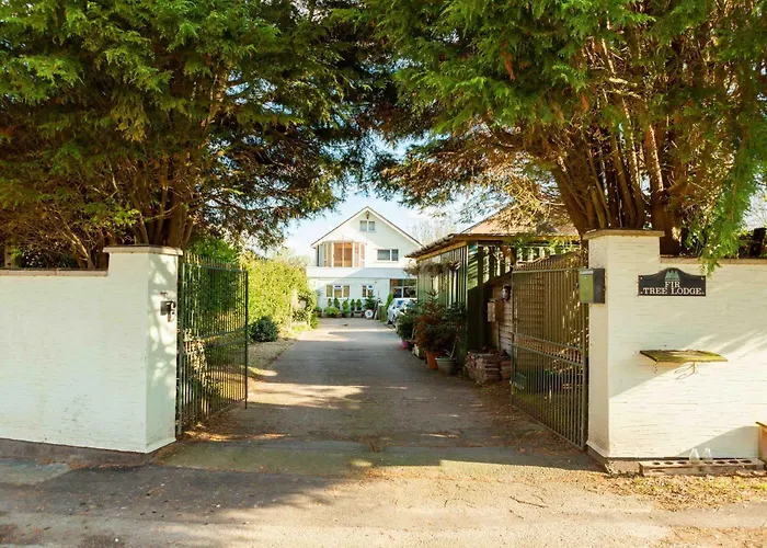 Twin Beds With Private Bathroom At Fir Tree *