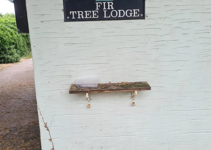 Проживання в сім'ї Twin Beds With Private Bathroom At Fir Tree Бристоль